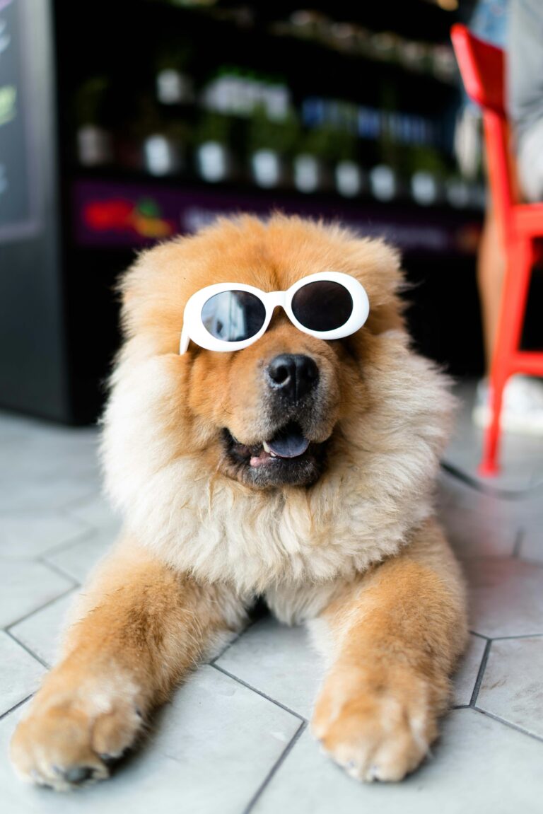 Best AI Tools for Pet Grooming Businesses in 2026